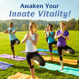 Innate Vitality Glutathione-emballage-60-capsules: boîte pratique pour un mois d'apport quotidien.