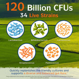 Étiquette Innate Vitality Probiotiques, informations claires sur les souches et les ingrédients.