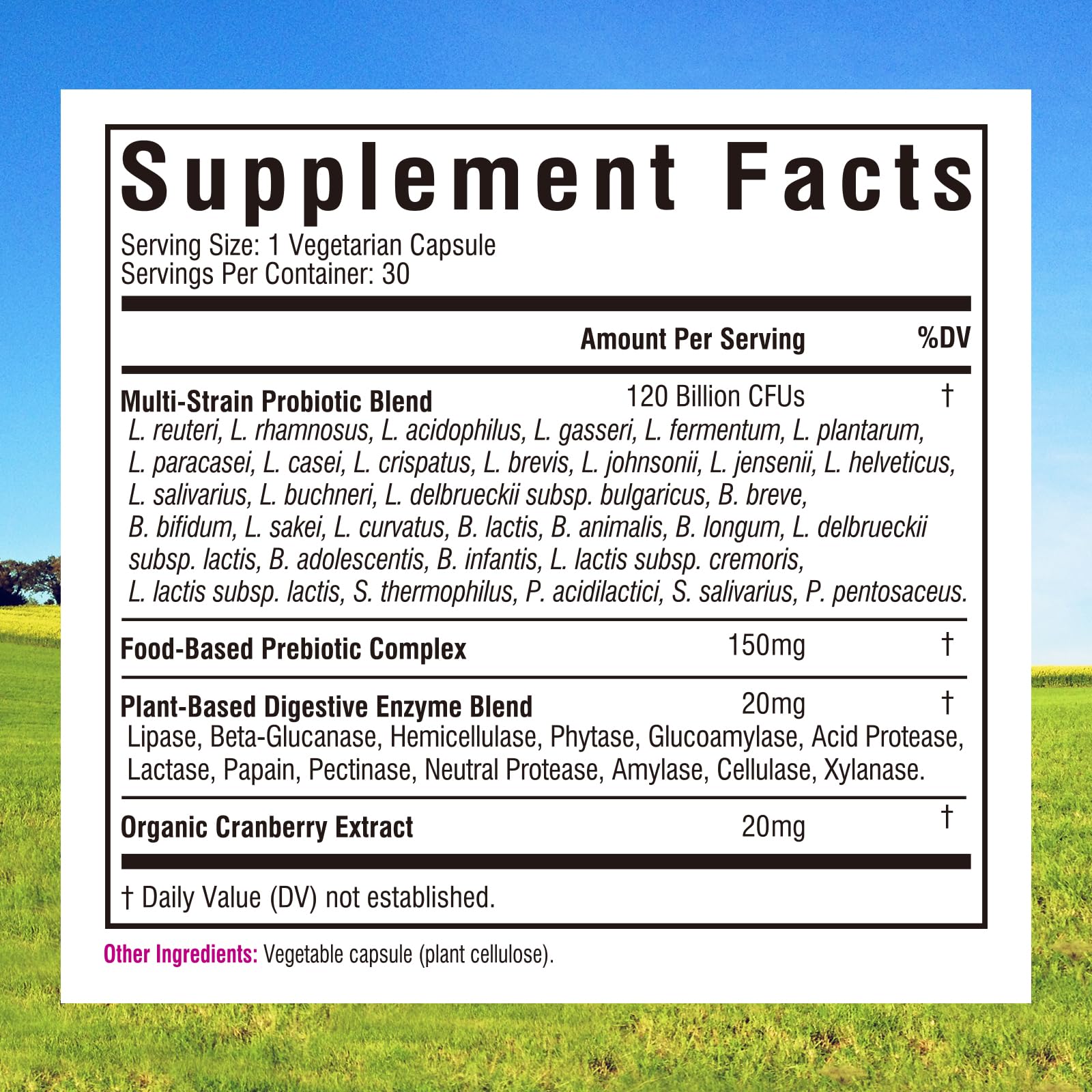 Capsules Innate Vitality Probiotiques Femmes, 30 gélules faciles à prendre.