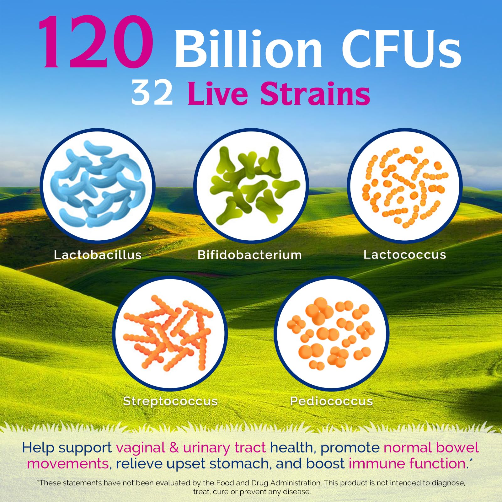 Emballage Innate Vitality Probiotiques Femmes, étiquette claire et informative.