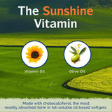 Innate Vitality D3 5000 UI — huile d'olive pressée à froid pour meilleure absorption.