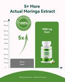 Extrait Moringa 10:1 Inner Brightness, teneur élevée en nutriments.