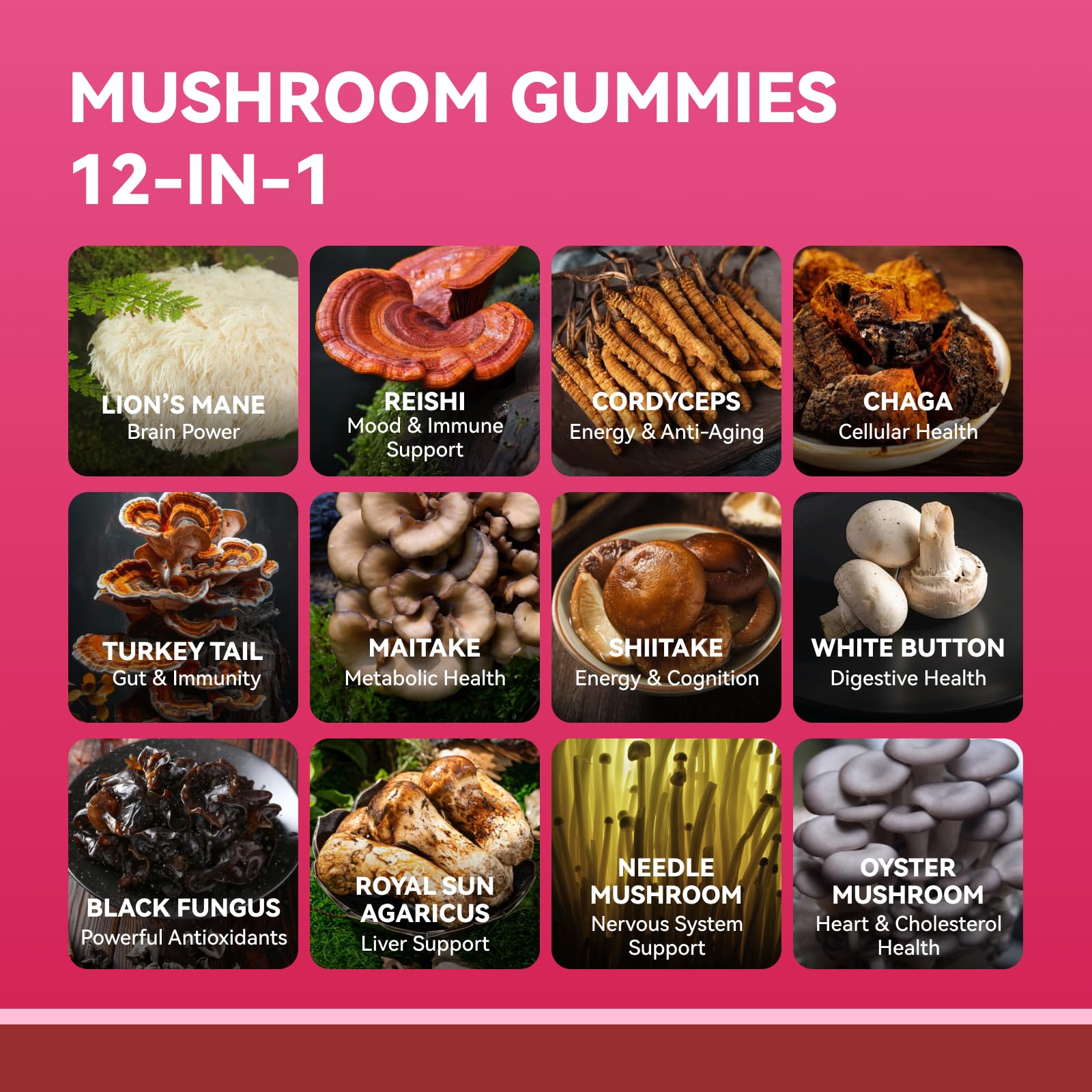 Reishi Inner Brightness – équilibre et calme adaptogène.