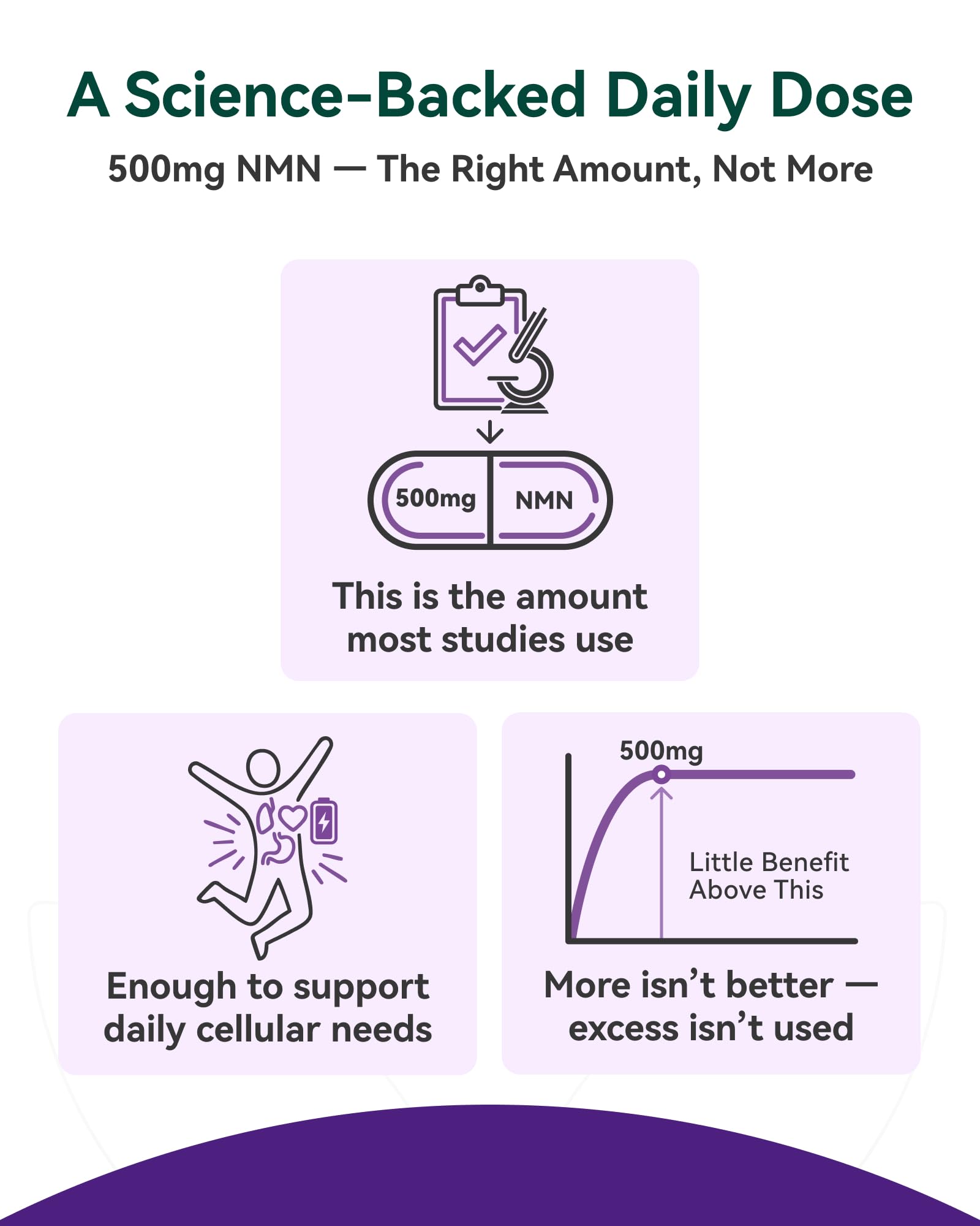 Inner Brightness NMN résveratrol-astaxanthine : synergie pour énergie et résistance.