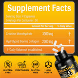 INNIOXV Collagene bovin hydrolysé – capsules pour récupération et mobilité.