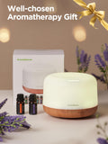 Coffret InnoGear huiles essentielles 10 pièces, parfums variés pour diffusion quotidienne.
