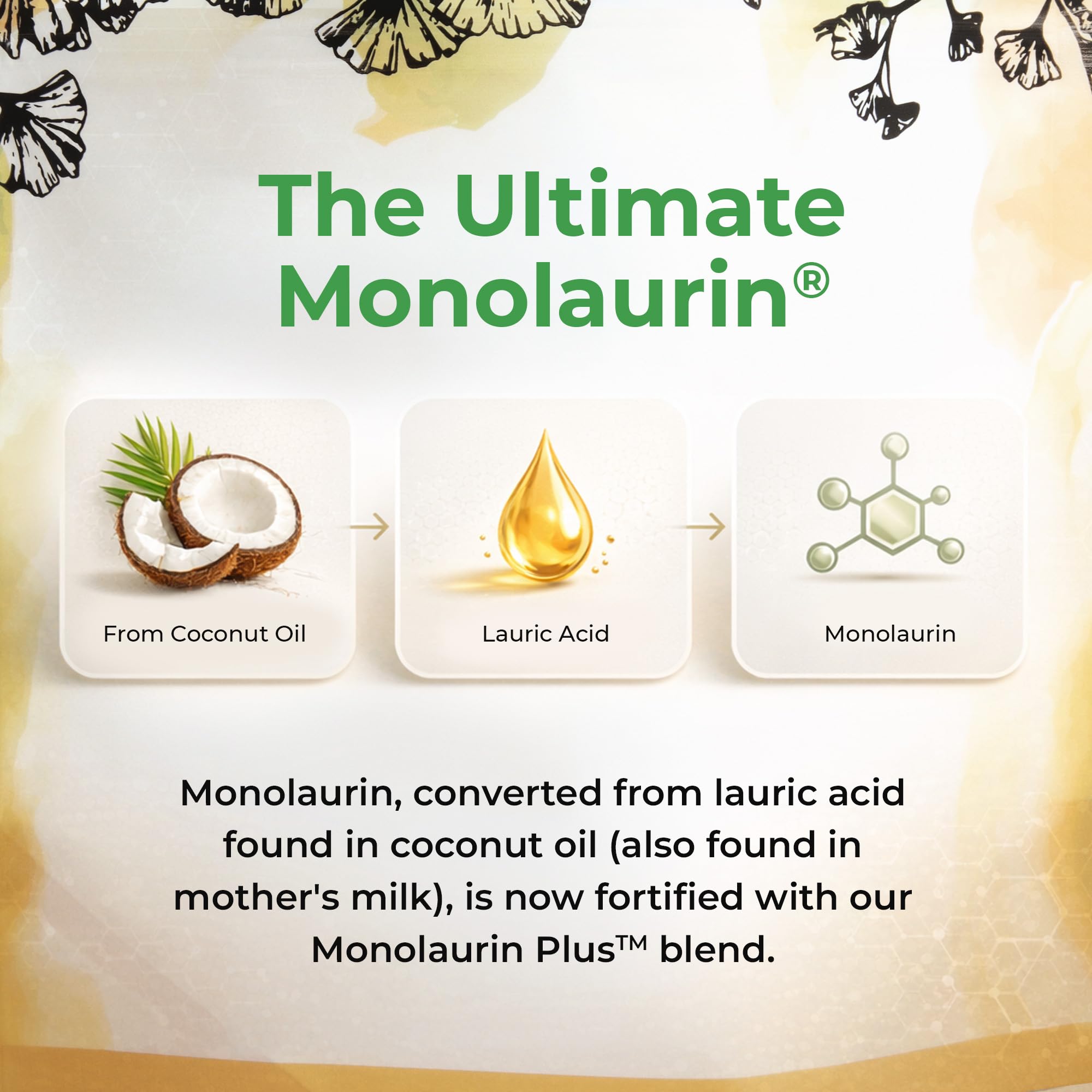 UltraLaurin Inspired Nutrition et extrait de coco, texture granuleuse agréable.