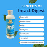 Intact Digest Nutri-Mastic gomme-mastic, détail rappelant l'ingrédient clé pour le confort digestif.