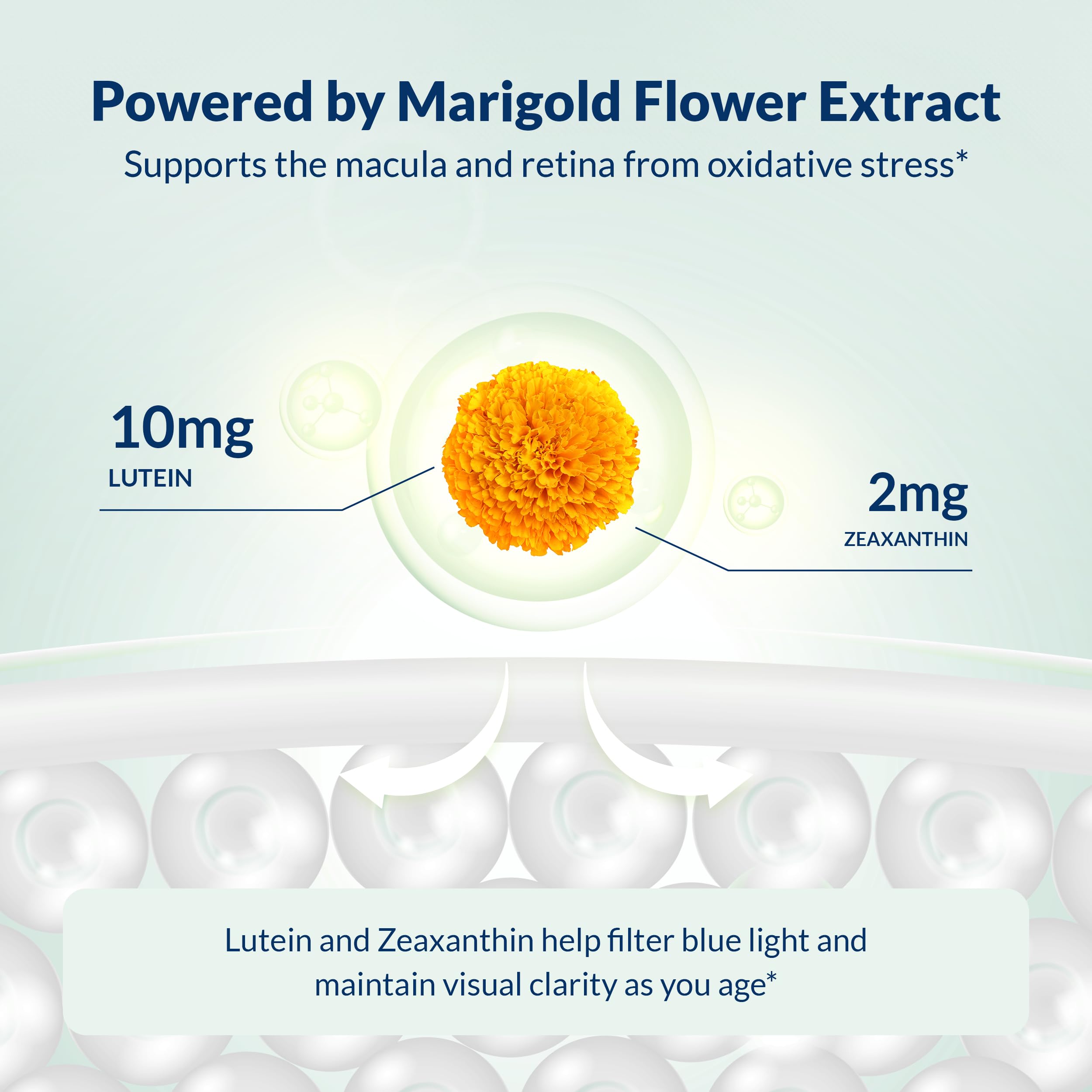 Dr Grossman Integral Health – Soutien visuel quotidien face à la fatigue oculaire.