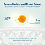 Dr Grossman Integral Health – Soutien visuel quotidien face à la fatigue oculaire.