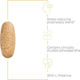 Ashwagandha et L-Theanine dans la formule, intégrés pour un apaisement potentiel.