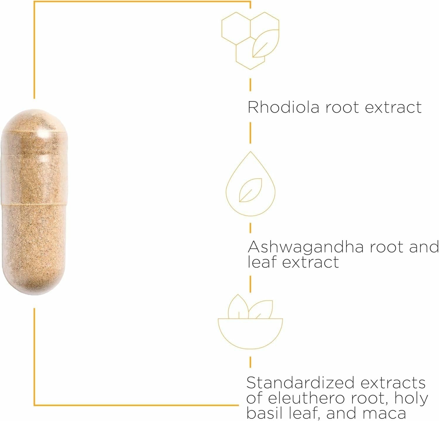 Integrative Therapeutics HPA Adapt – capsules prêtes à l'emploi, formule vegan et sans gluten