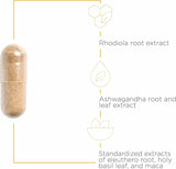 Integrative Therapeutics HPA Adapt – capsules prêtes à l'emploi, formule vegan et sans gluten
