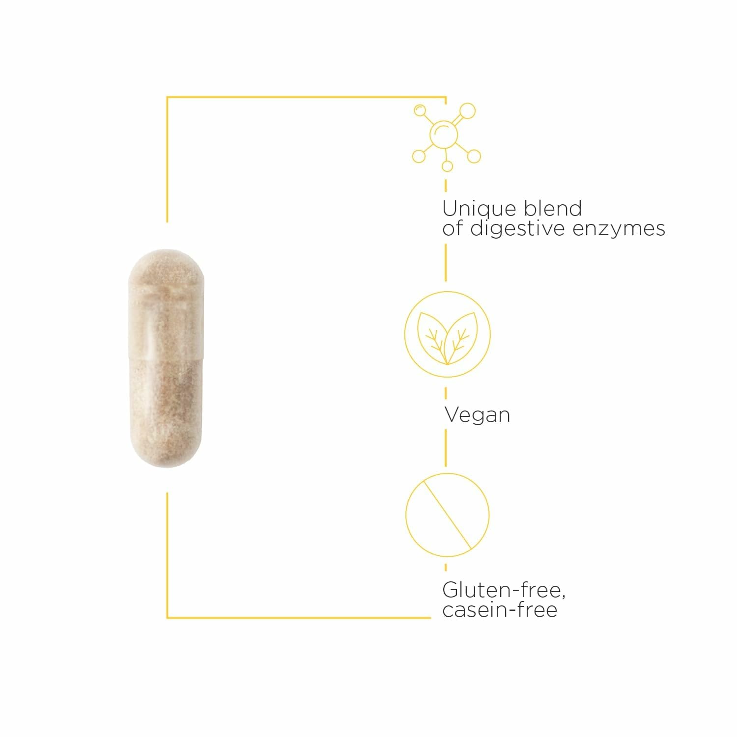 Capsules Similase GFCF, formulation sans lactose utile après les repas