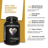 Berberine HCL Plus d'Intelligent Labs — étiquette claire pour traçabilité et sécurité.