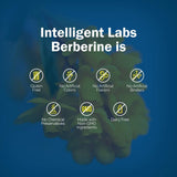 Intelligent Labs Berberine HCL Plus — sans gluten et sans OGM, option naturelle.