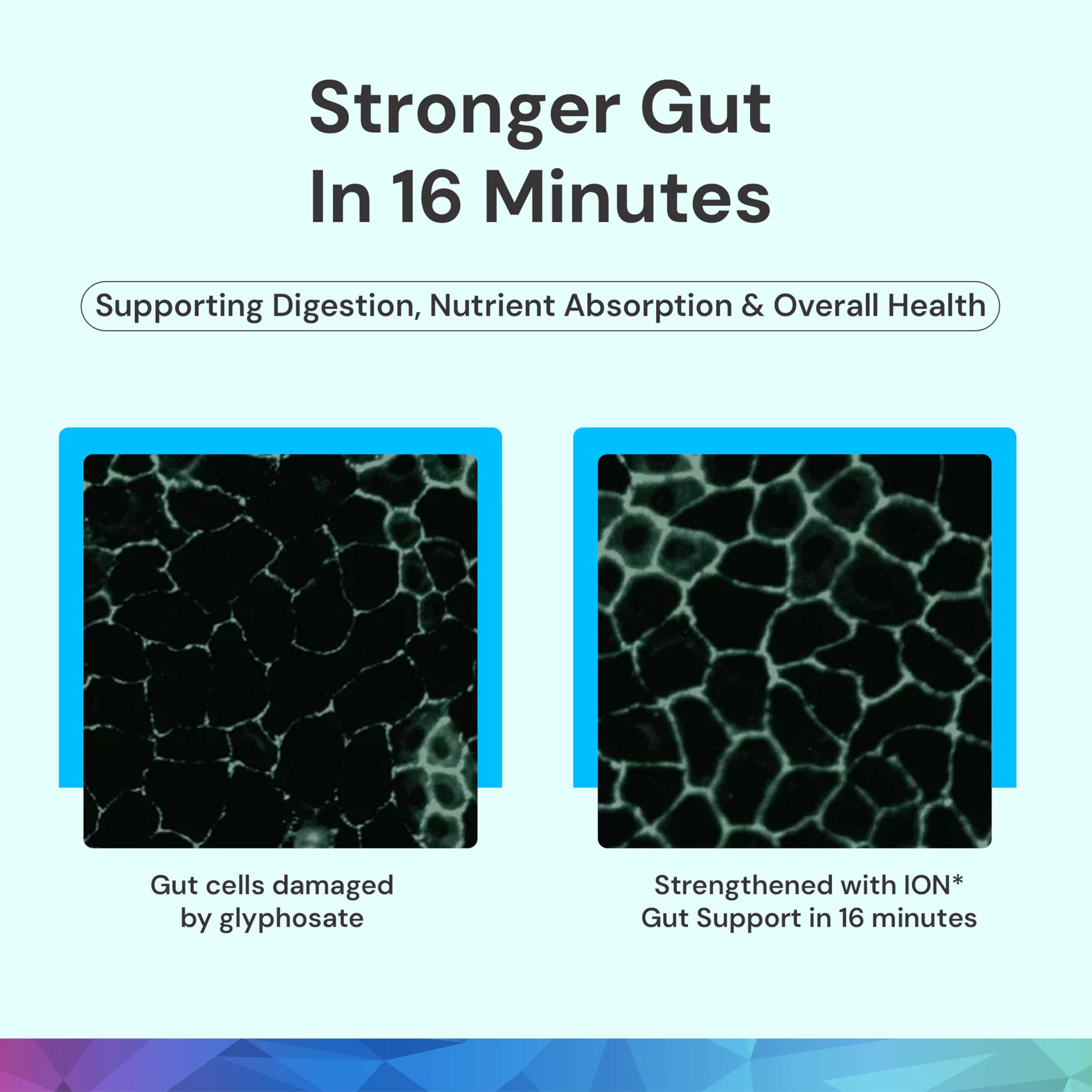 ION* Intelligence of Nature Gut Support – emballage-boite: présentation pratique et sûre.