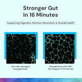 ION* Intelligence of Nature Gut Support – emballage-boite: présentation pratique et sûre.