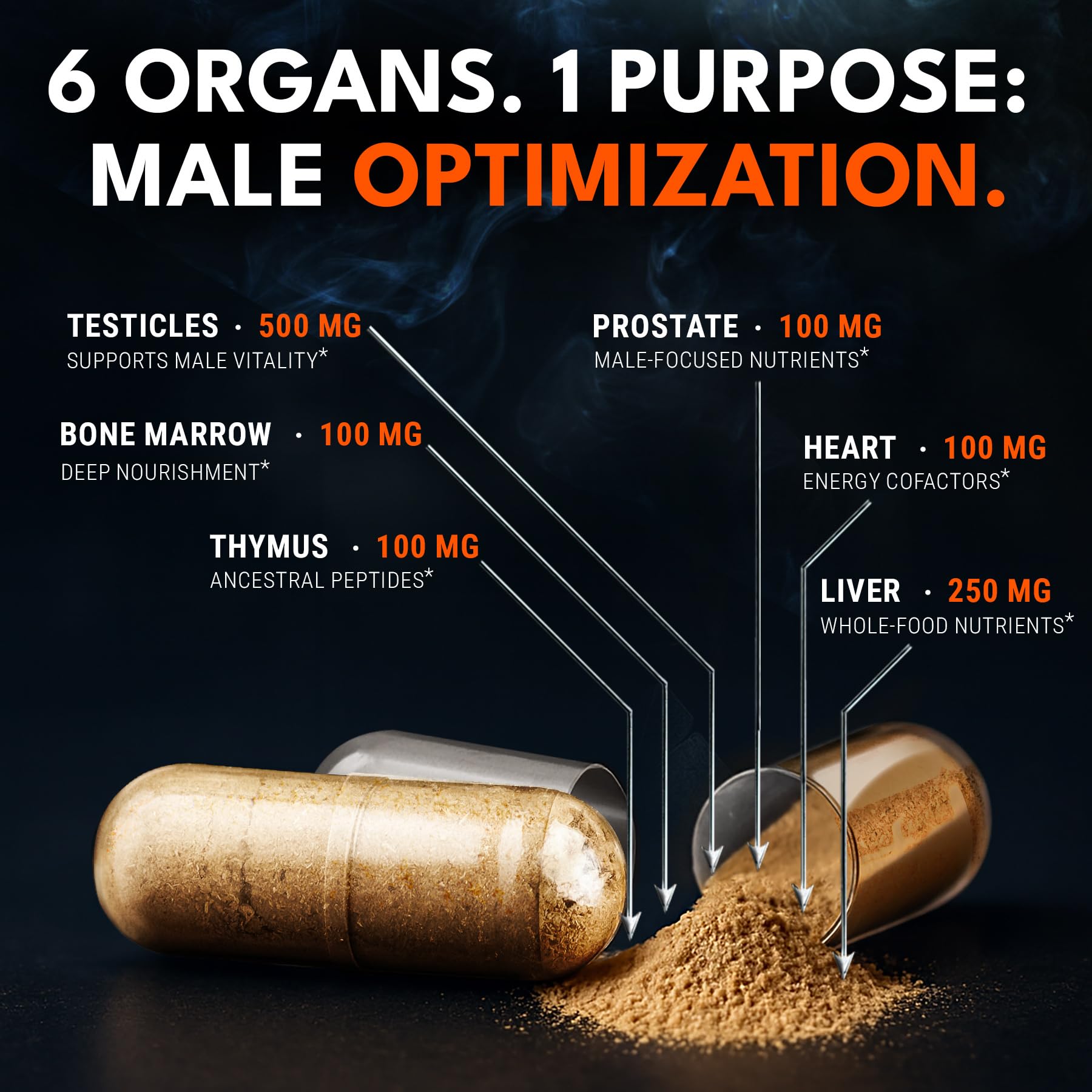 Ironclad Nutrition gélules simples, deux capsules par jour