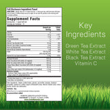 Irwin Naturals Triple-Tea Fat Burner - Gelules liquides en action, augmentation potentielle d energie