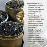 Irwin Naturals Triple Tea Fat Burner - boîte et capsules faciles à intégrer à la routine.