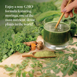 Isagenix Moringa Greens, ingrédients sans OGM, mélange végétal riche en antioxydants et nutriments.