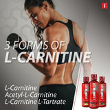 iSatori L-Carnitine LS3: dose mesurée pour soutient métabolique pendant l effort