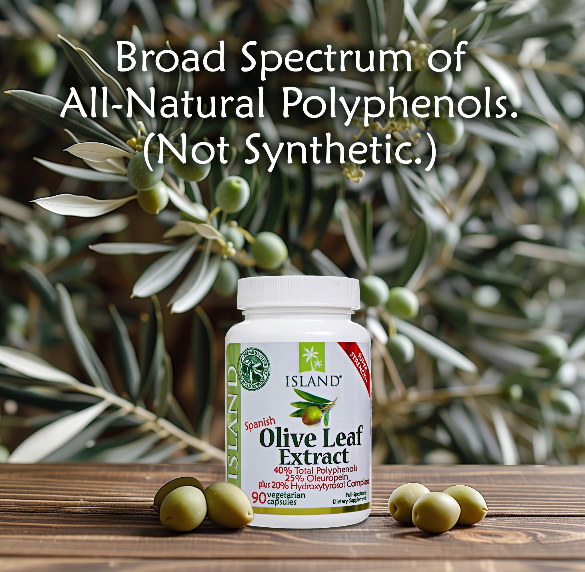 Fermes olivier familiales Espagne: olives cultivées avec soin pour Island Nutrition.