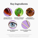 Isotonix Daily Essentials – B-complexe actif pour énergie potentielle.
