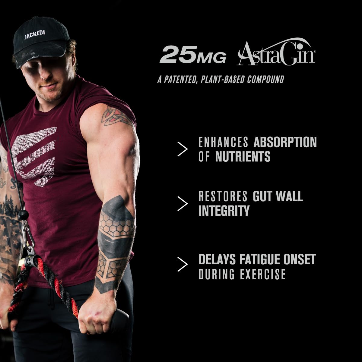 Jacked Factory Build-XT – Emballage attrayant facilitant le rangement et l’achat.