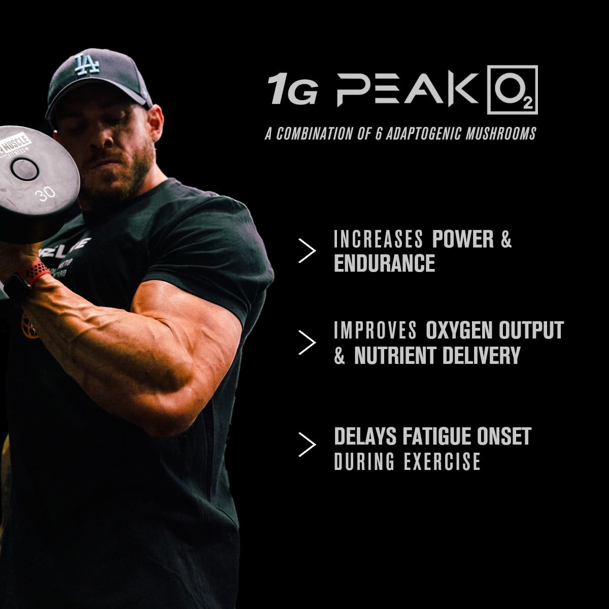 Jacked Factory Build-XT Peak02: endurance accrue pendant les séances.