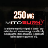 Gélules Burn-XT Max faciles à avaler pour énergie et satiété.