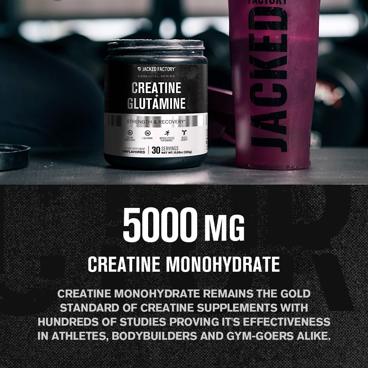 Jacked Factory Creatine + Glutamine — poudre blanche, mélange facile dans l'eau.