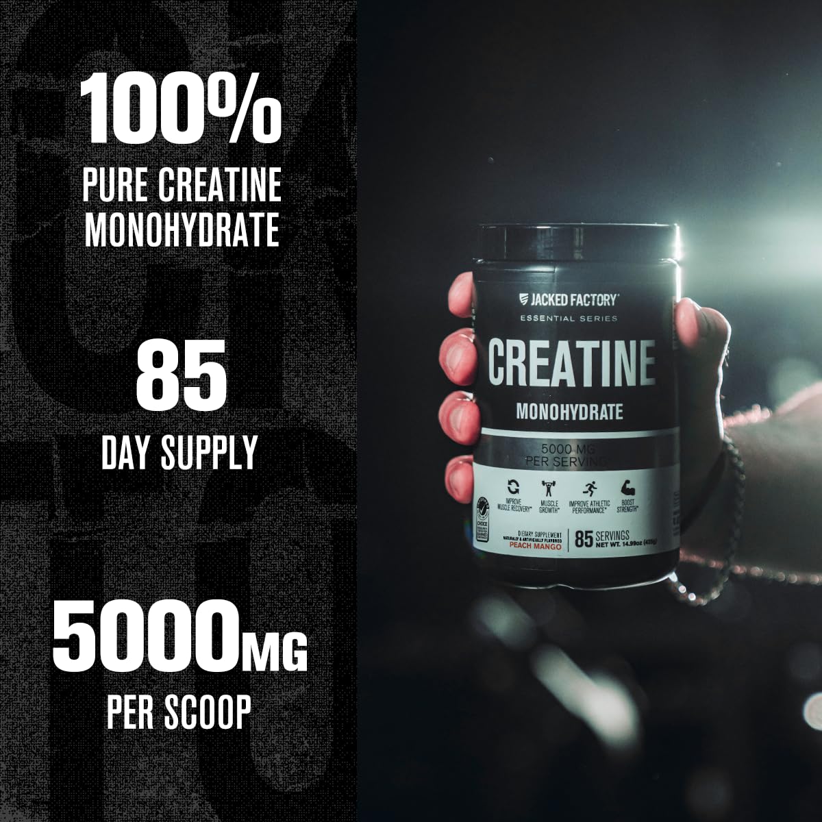 Cuillère-dose correspond à 5 g de créatine Monohydrate Jacked Factory