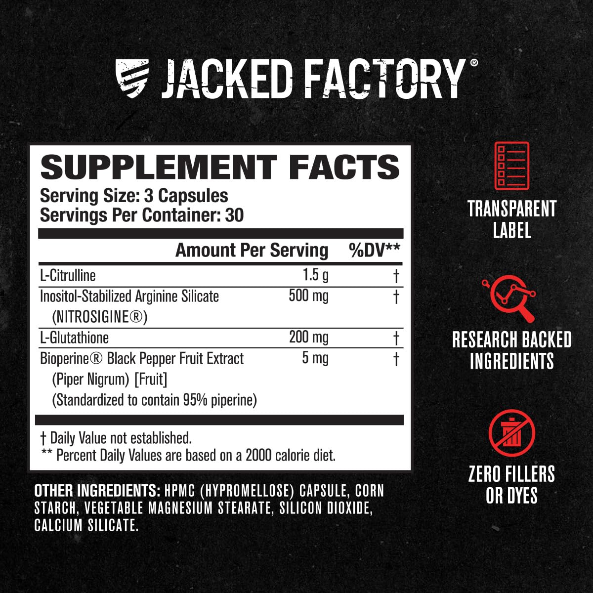 Jacked Factory N.O. XT – ambiance salle de sport prête à l’entraînement.