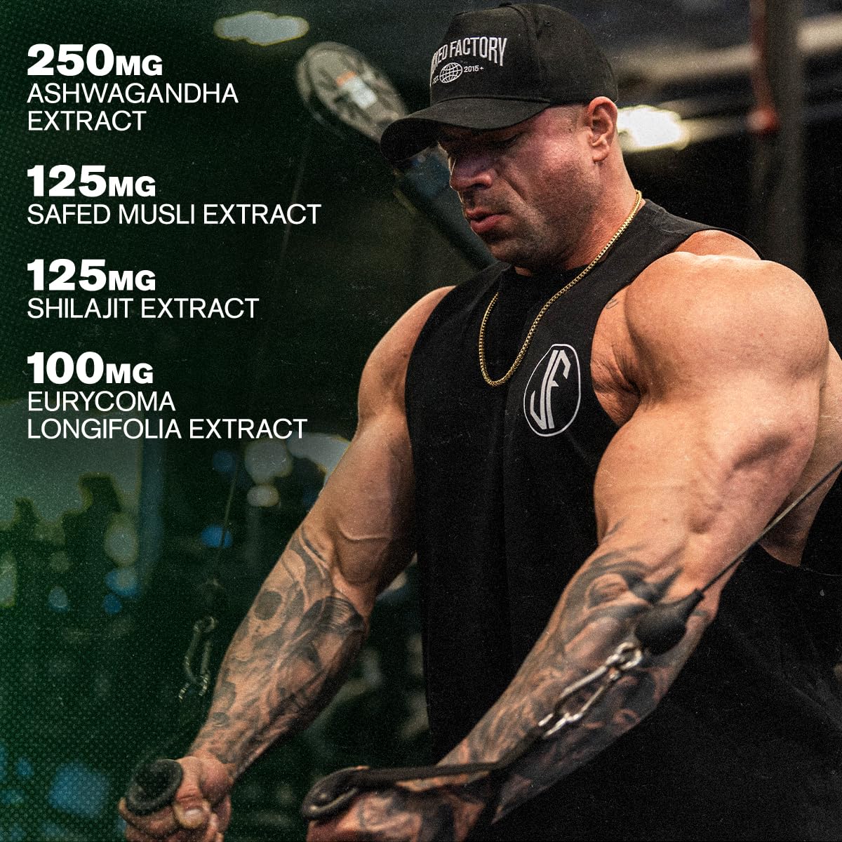 Jacked Factory Primasurge – dose quotidienne facile à prendre avec le petit-déjeuner.