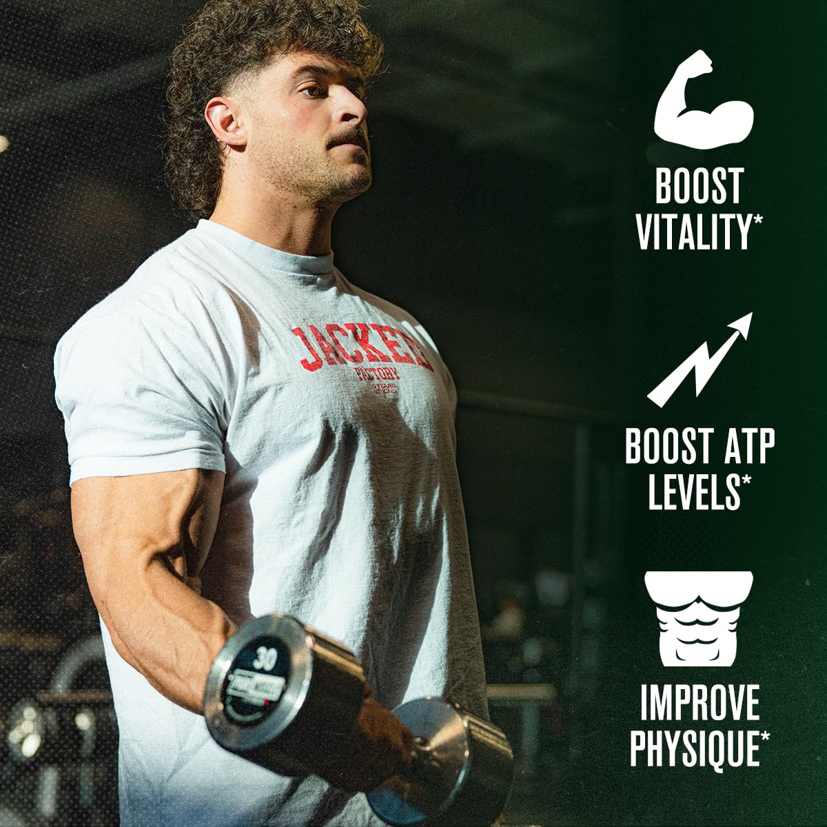 Jacked Factory Primasurge – étiquette lisible montrant les ingrédients clés et leur utilité.