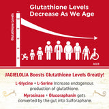 Précurseurs L-Serine et L-Glycine soutiennent la synthèse naturelle du glutathion.