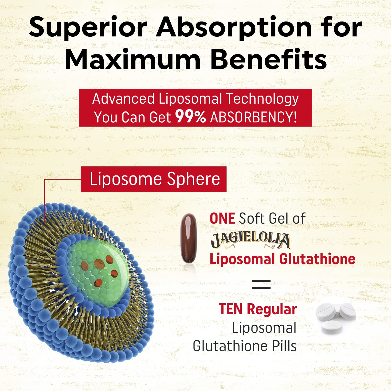 Liposomes comme véhicule améliorant l assimilation des nutriments.