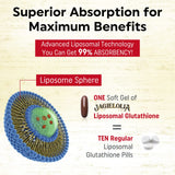 Liposomes comme véhicule améliorant l assimilation des nutriments.