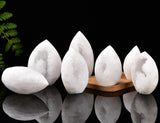 Géode quartz éclat minéral JIC Gem sur étagère.