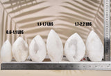 Géode quartz hauteur 3-6 pouces de JIC Gem, mise en valeur.