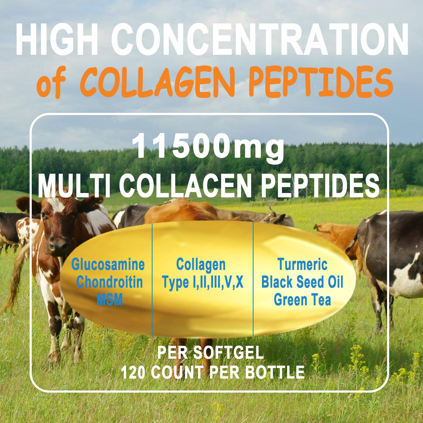 JINGYAT Collagène Softgels absorption rapide des nutriments