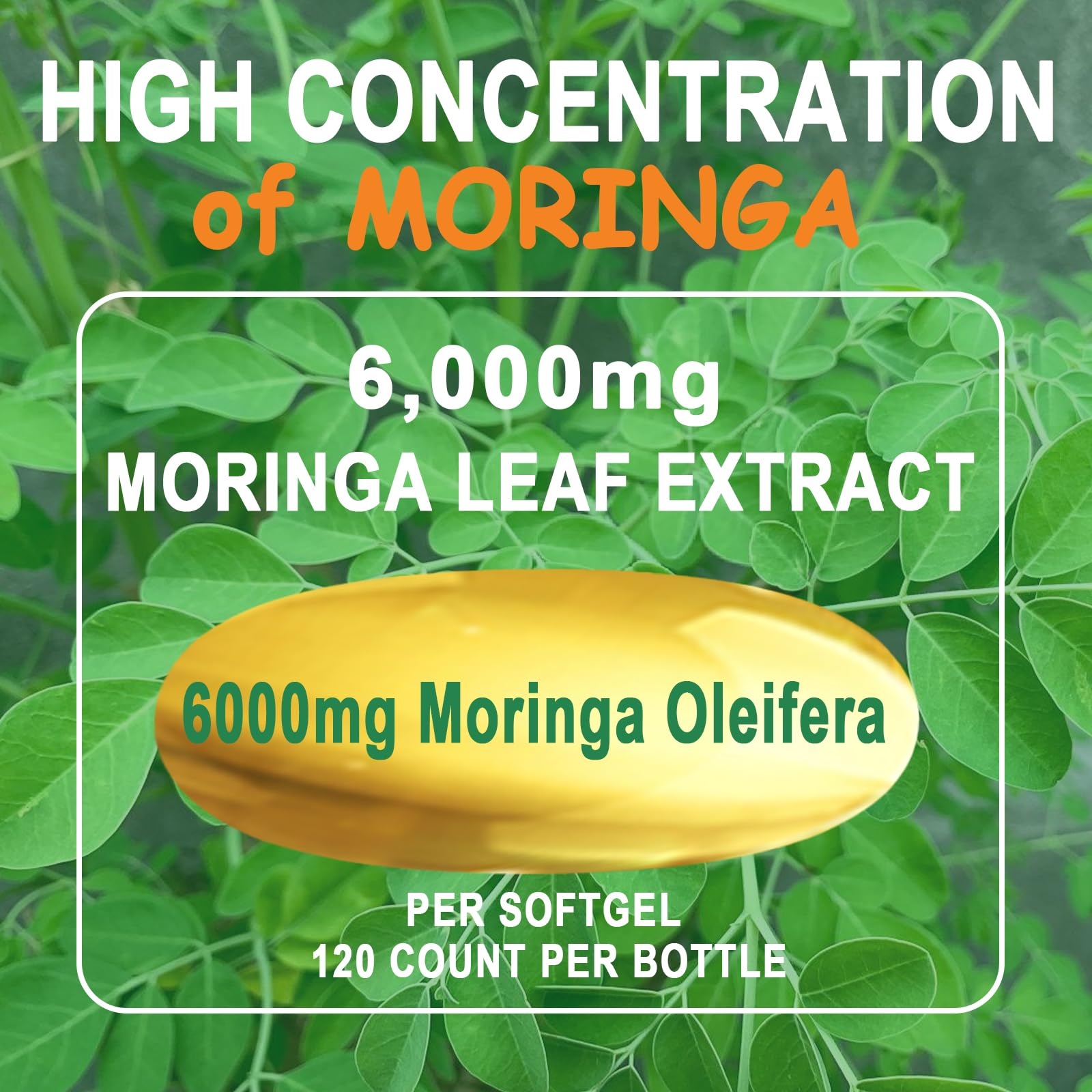 JINGYAT Moringa Softgels : capsule ouverte révélant texture douce et facilité d'ingestion