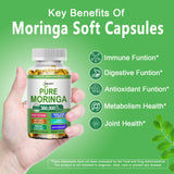 JINGYAT Moringa Softgels : capsules vertes démontrant une absorption efficace pour vitalité