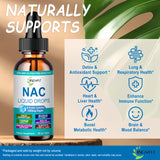 Jingyat NAC contribue potentiellement au bien-être quotidien et à la détoxification hépatique.