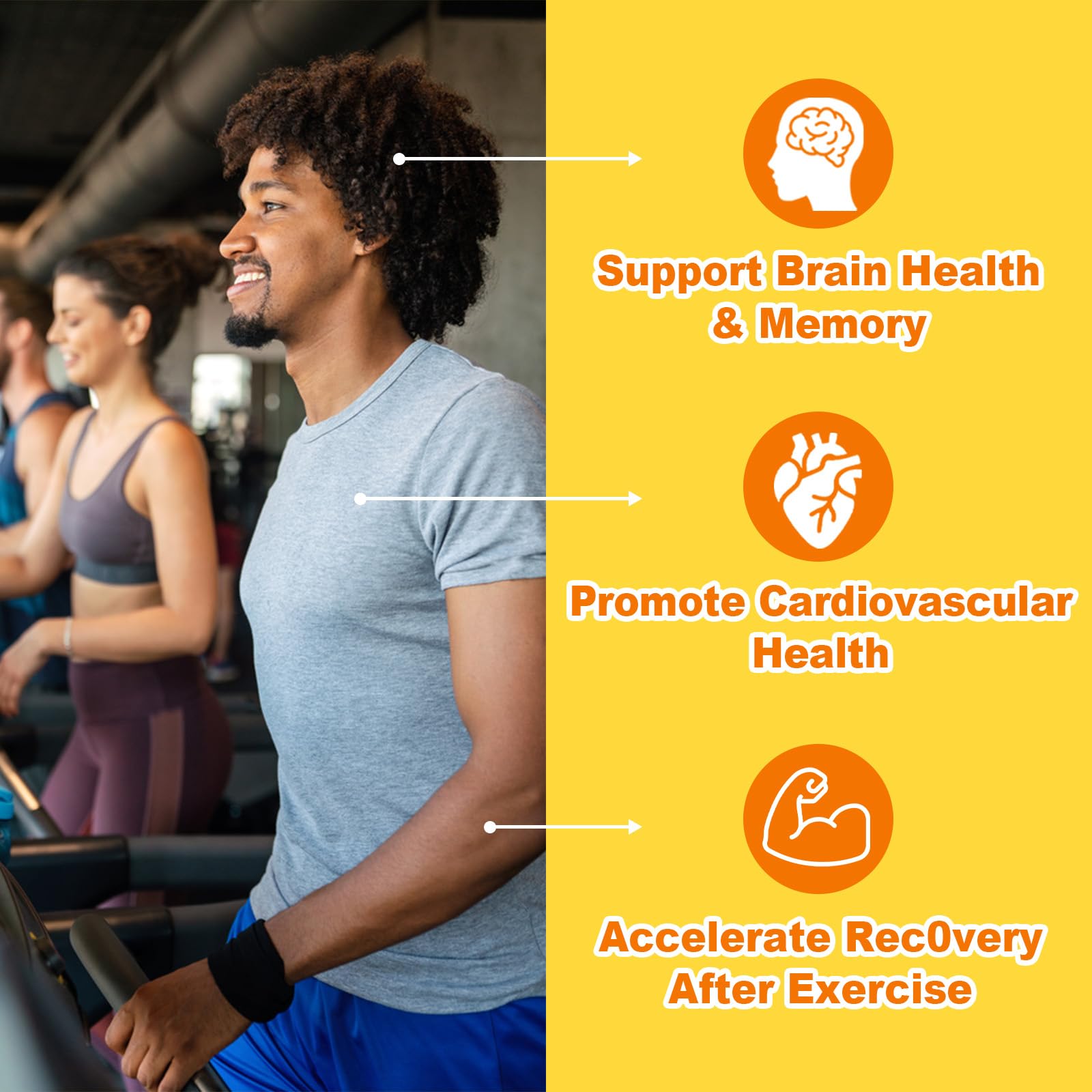 Gommes Jovithea Acetyl L-Carnitine, concentration et mémoire lors des sessions.