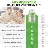Gomme sans sucre JOVITHEA Millepertuis, compatible vegan et sans allergène.