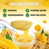 Joy Sea Moss Gel – algues marines sauvages, récolte respectueuse
