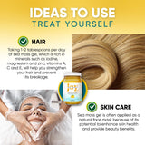 Joy Sea Moss Gel : pot de 16 oz prêt à réutiliser, format pratique.